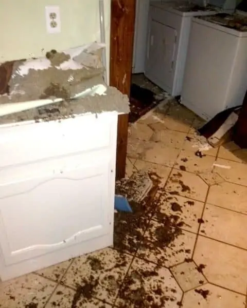 Dirt, mud, and dust scattered all over the floor and counter in the kitchen.