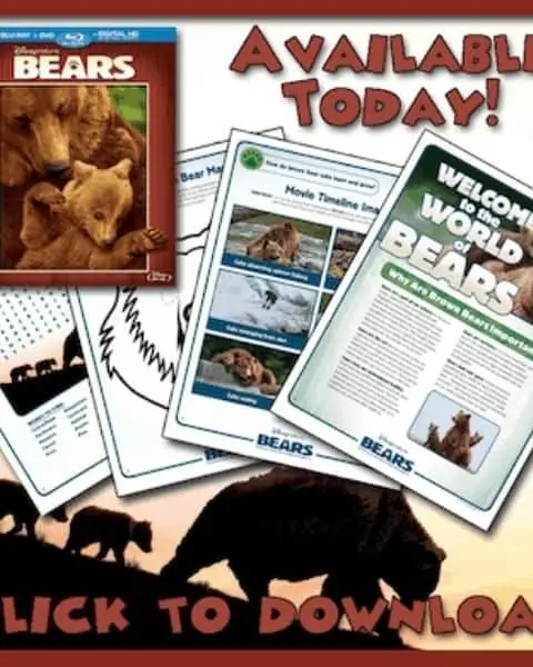 Disney Bears Activity guide for families.