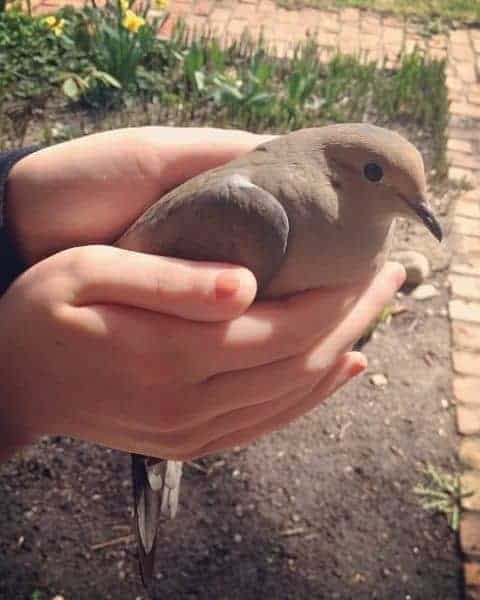 A woman holding a dove in her hands.