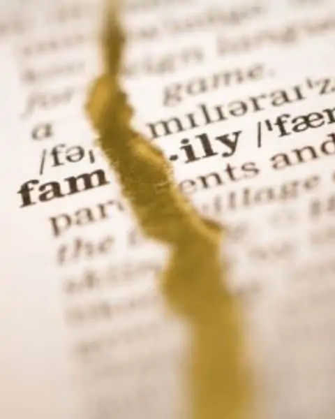Dictionary page with the word "family" split in half.