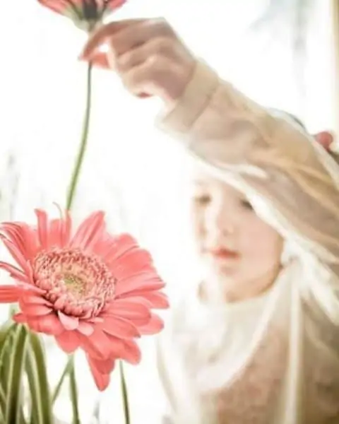 A little girl putting big pink flowers in a vase.