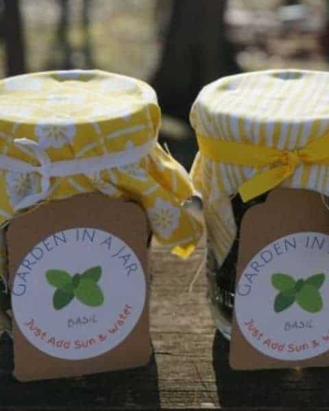 Garden in a jar printable.