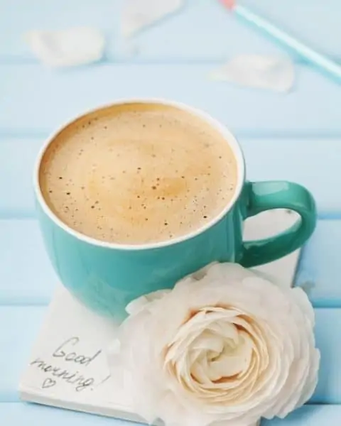A cup of frothed coffee with a white rose on a table.