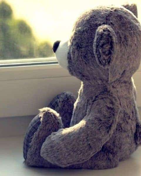 A teddy bear looking out the window.