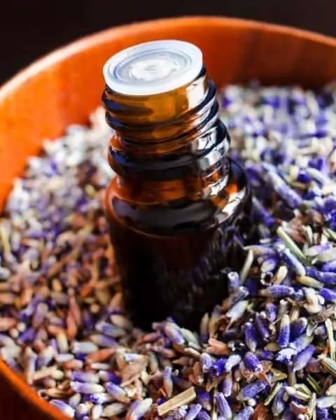 A small bottle of lavender essential oil in an orange bowl of lavenders.