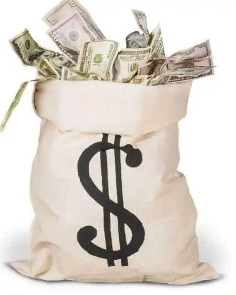 A sack with a giant dollar sign on front, filled with cash.