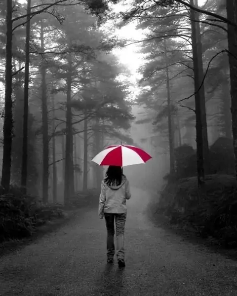 A woman walking away in the forest with a red and white umbrella.