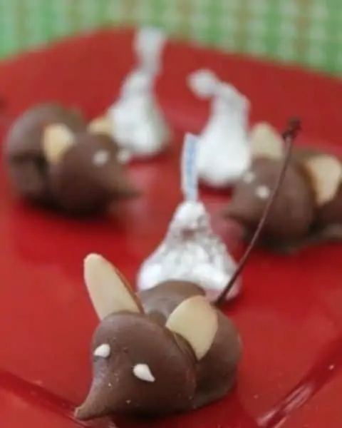 Chocolate cherry mice with Hershey kisses.
