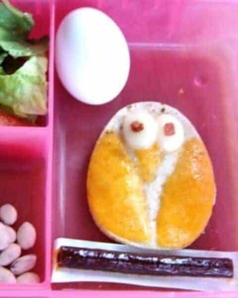 Owl themed school lunch.