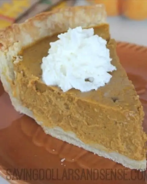 Slice of pumpkin pie with a dabble of whip cream.