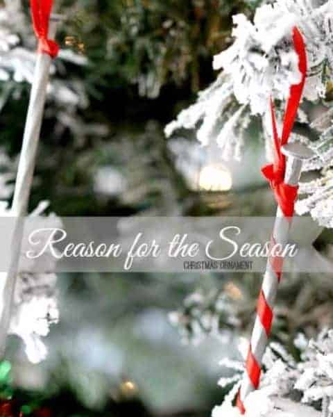 Evergreen tree with a large nail wrapped in red.