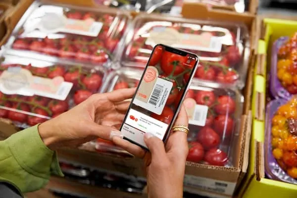 Woman holding phone and taking a picture of a package of tomatoes.