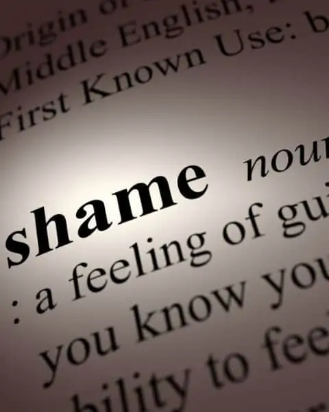 A dictionary with the page open to the word, "Shame."