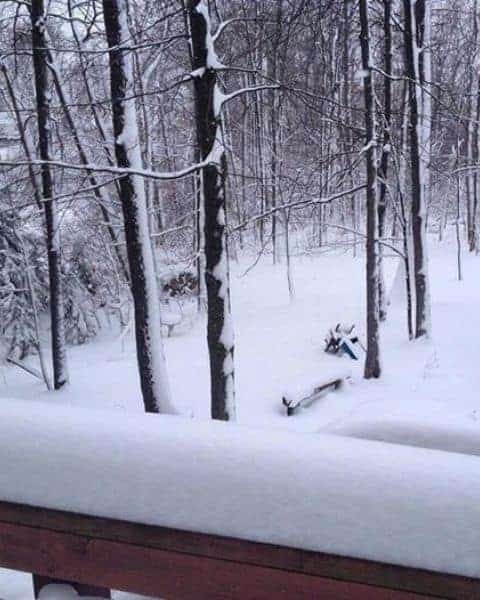 Snow on ground and trees outside.