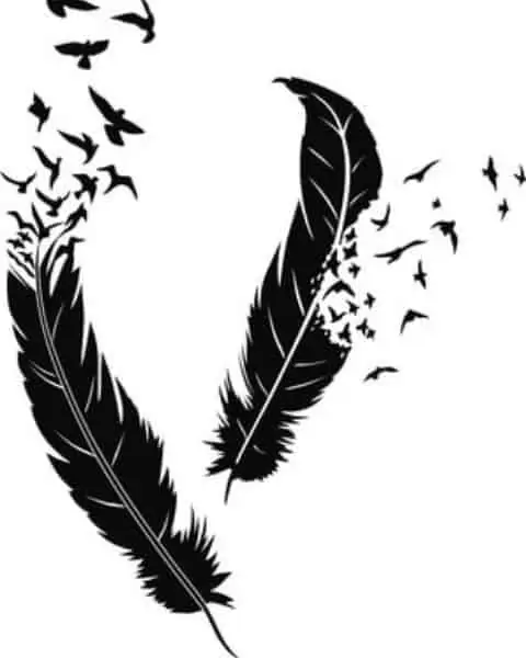 Black feathers with birds flying away from the feather.