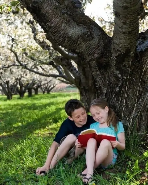 Two small children sitting next to each other under a tree