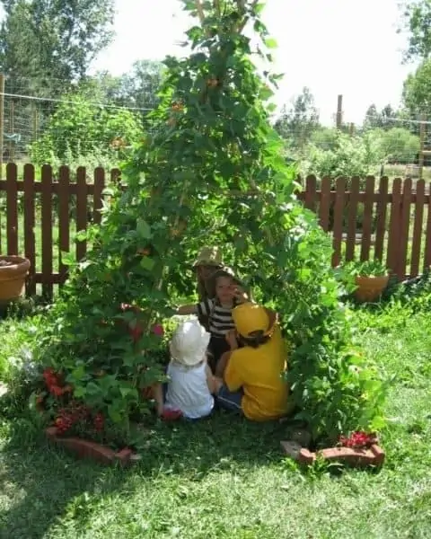 Sweet pea tee pee with children playing inside.