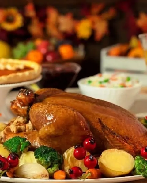 Baked Thanksgiving turkey surrounded by mashed potatoes and pumpkin pie.