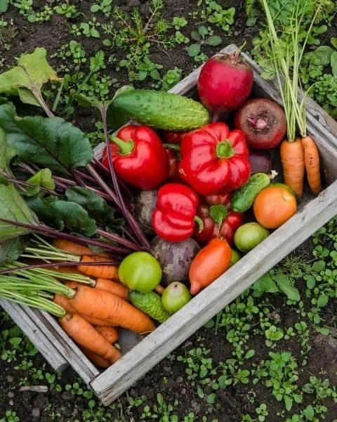 Garden produce in a wooden basket.