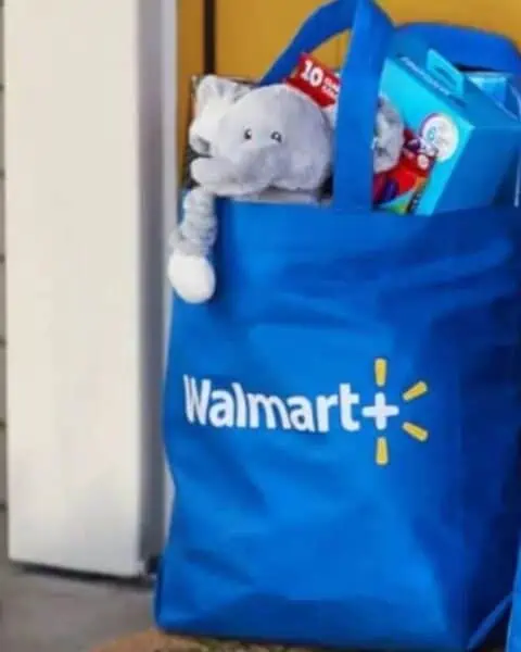 Two blue Walmart canvas bags with groceries that have been dropped off at the front porch of someone's home.