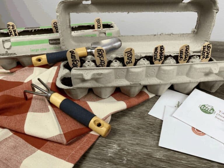 Transformed egg carton into a seed planter to sprout oregano, parsley, basil, and other veggies