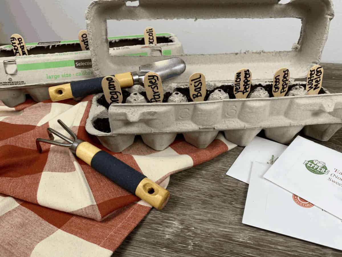 DIY Egg Carton Seed Starting Trays