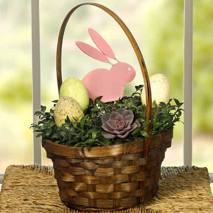 Adorable Costco Easter Baskets Saving Dollars & Sense