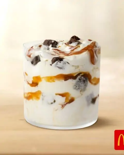 A small container of a caramel brownie McFlurry.