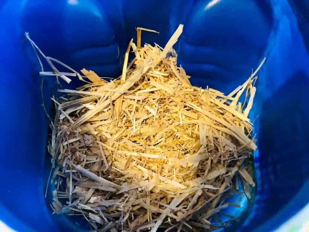 Hay and straw inside the bird feeder.
