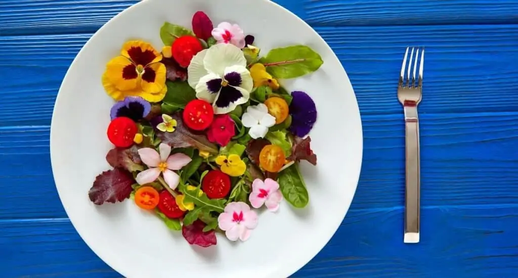 how to grow edible flowers from your garden