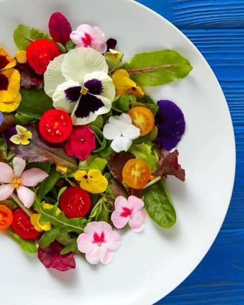 A white plate with edible flowers on a salad.