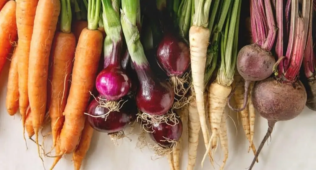 A variety of root vegetables.