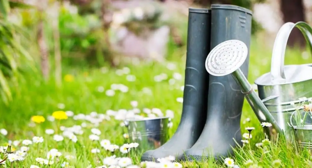Gardening boots next to water pail.