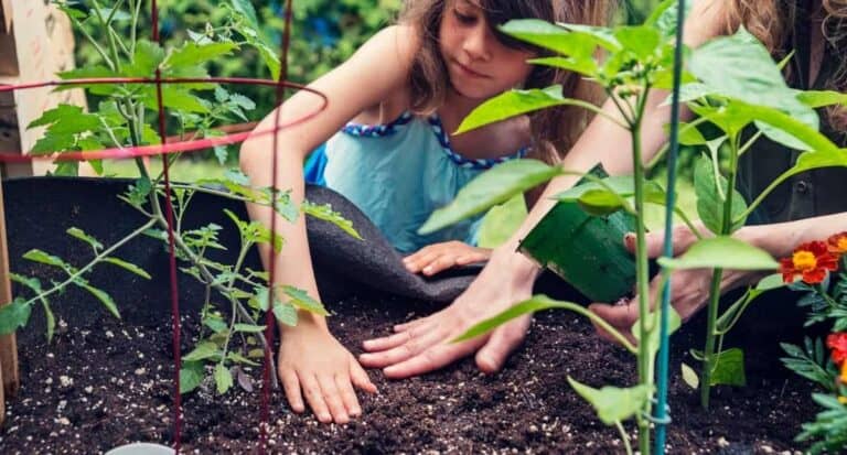Children working in the garden by laying down soil and pulling weeds.