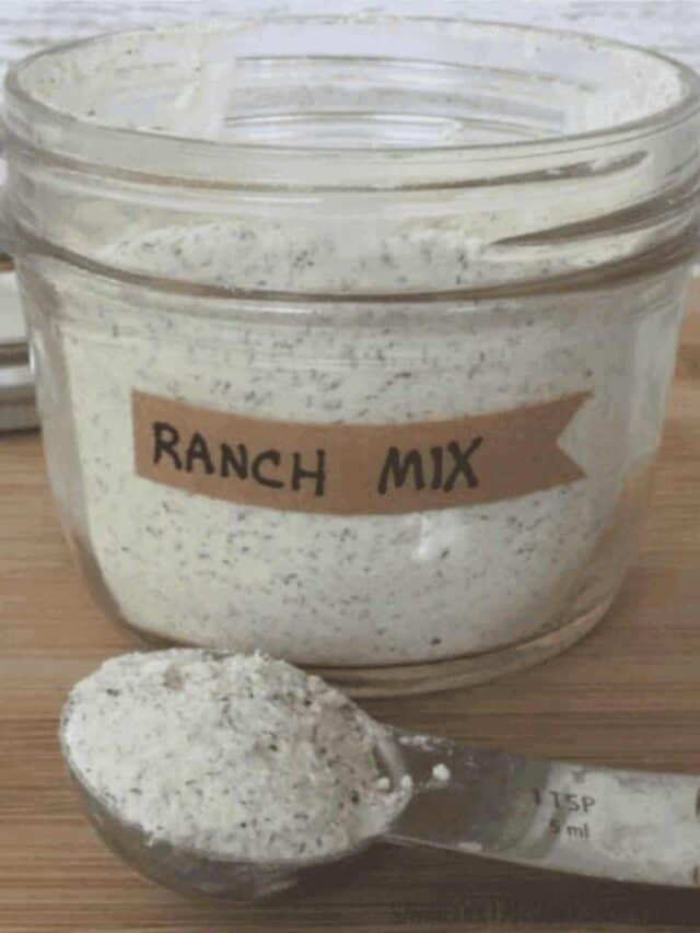 Copycat Hidden Valley Ranch Mix Story