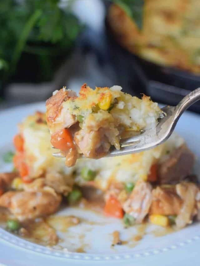 60+ Delicious Leftover Turkey Recipes Story