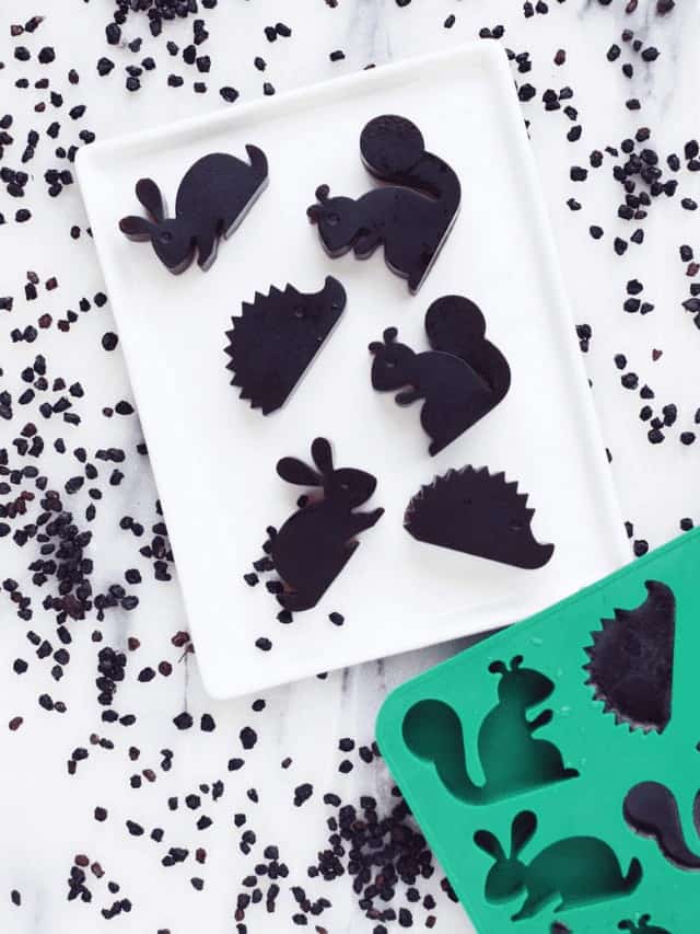 Easy Homemade Elderberry Gummies Story