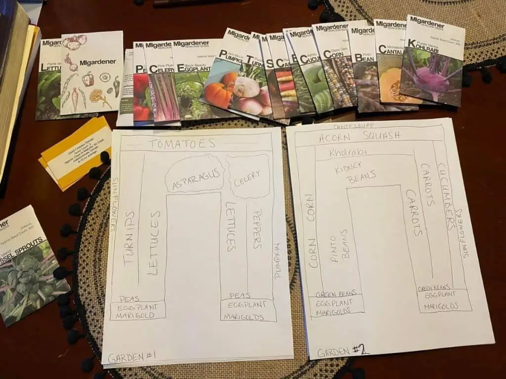 Several packets of seeds with a gardening layout plan on the table.