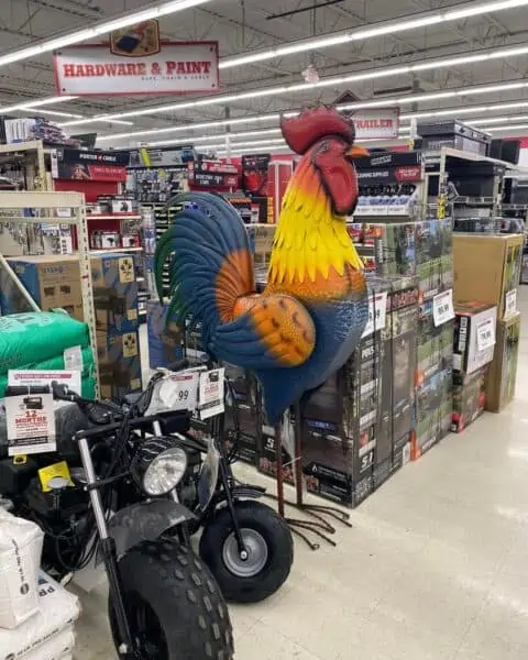 A giant rooster statue in the middle of a store.