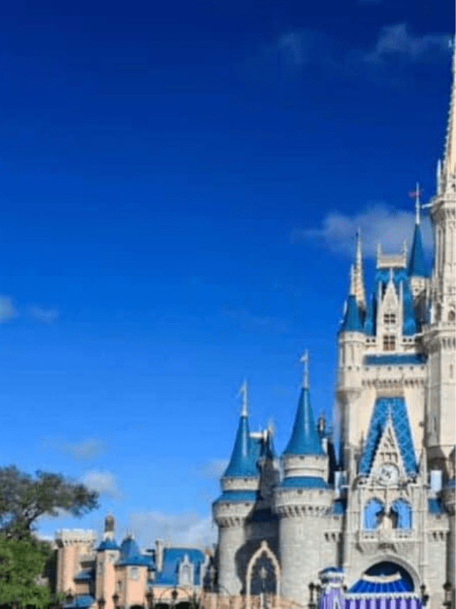 5 Tips for the Best Deal Disney Vacation Story Saving Dollars and Sense