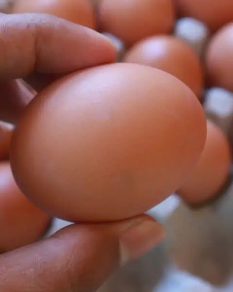 A woman holding a brown egg.
