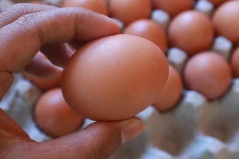 A woman holding a brown egg.