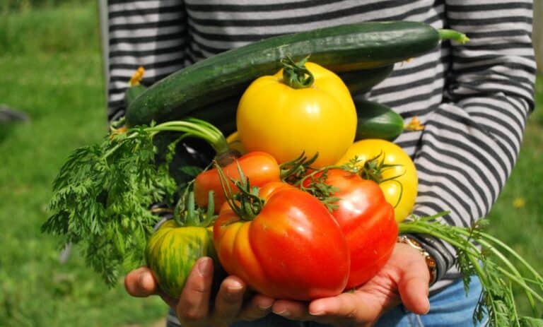 A woman holding a handful of vegetables and produce from her garden.