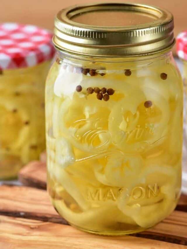 Pickled peppers with spices in mason jars.