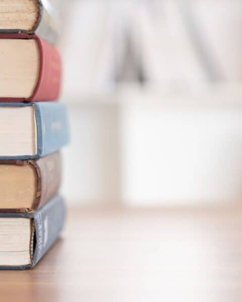 Stack of thick chapter books on a table.