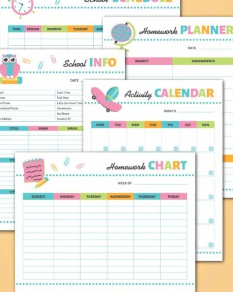 School planner printable including homework chart, activity calendar, homework planner, school info, and more printable pages.