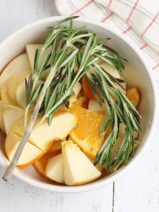 Crockpot Fall Simmer Pot Recipe Story