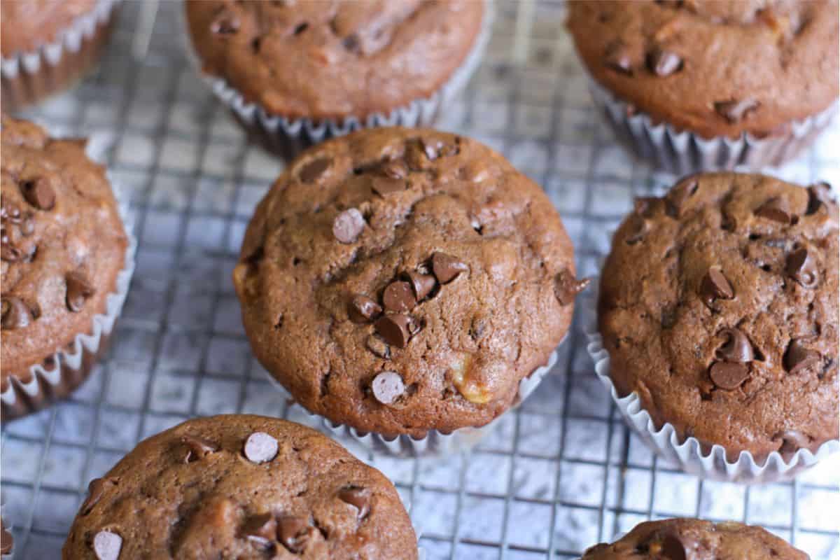 Double Chocolate Chip Banana Muffins Recipe Saving Dollars and Sense