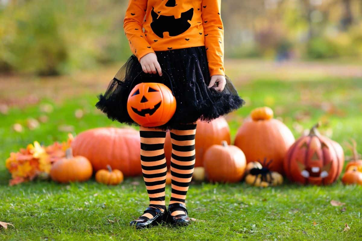 Shop Online Halloween Stores to Save Saving Dollars and Sense
