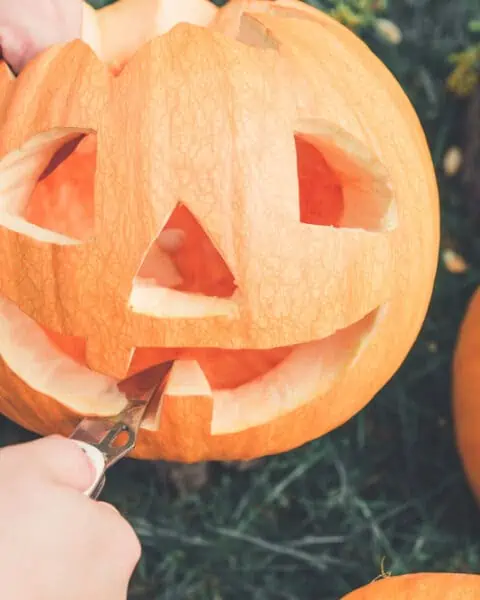 A close up of man's hand who cuts with knife a pumpkin as he prepares a jack-o-lantern. Halloween. Decoration for party.